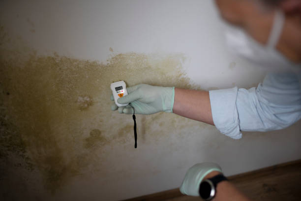 Best Residential Mold Removal  in Crownsville, MD