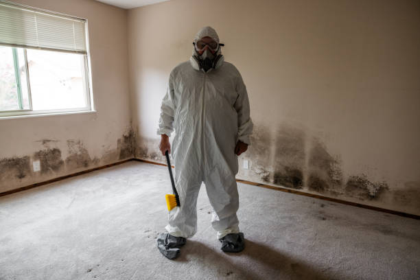 Attic Mold Removal in Crownsville, MD